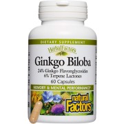 Natural Factors Ginkgo Biloba - B0019LVE68