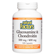 Natural Factors Glucosamine & Chondroitin - B000XUR5Q4
