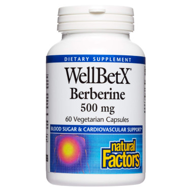 Natural Factors WellBetX Berberine - B0155KYOVK