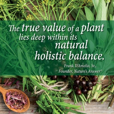 Nature's Answer Bacopa - B008M6SZ9M