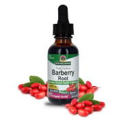 Nature's Answer Barberry Low-Alcohol - B0001VUU3A Nature's Answer Barberry Low-Alcohol - B0001VUU3A