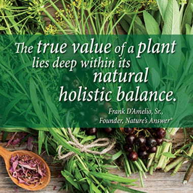 Nature's Answer Black Walnut & Wormwood Alcohol-Free - B012O1HDSY