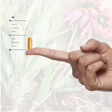 Nature's Answer Brocco-Glutathione - B00R1V6UNW