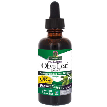 Nature's Answer Olive Leaf Alcohol-Free - B000M48XUI