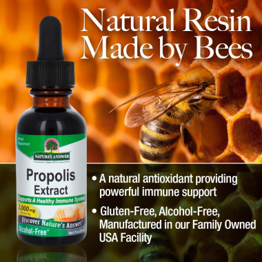 Nature's Answer Propolis - B000Q3YN3Q