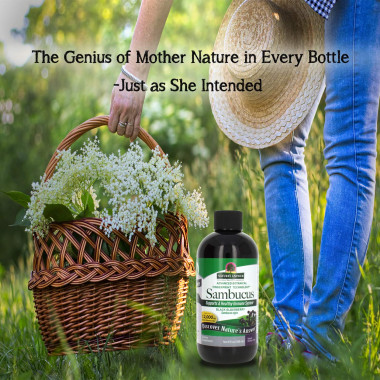 Nature's Answer Sambucus - B0017QPM6S