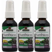 Nature's Answer Sambucus Black Elder Berry Extract Spray Alcohol-Free - B071VP825N