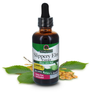 Nature's Answer Slippery Elm Promotes Healthy Hair & Skin - B005P0HJ40