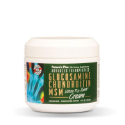 Nature's Plus Glucosamine Chondroitin MSM Ultra Rx-Joint Cream - B00EBGEQO0