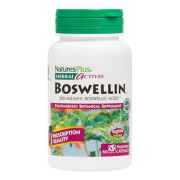 Nature's Plus Herbal Actives Boswellin - B0019LPH7U