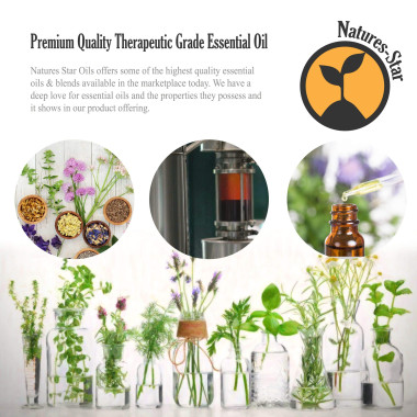 Natures Star Peppermint Therapeutic Grade Essential Oil - B07L9K9R7R