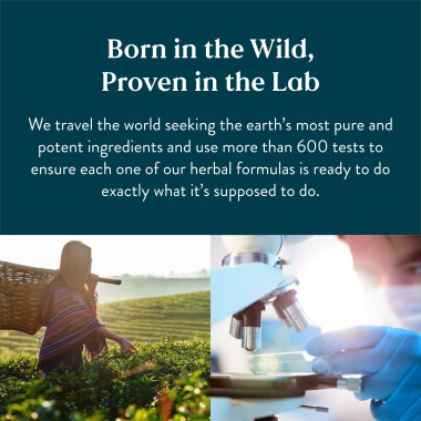 Nature's Sunshine Indole-3-Carbinol Supports Immune Health - B00FDUHAVY