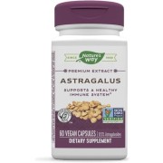 Nature's Way Astragalus Standardized - B00AAWC7FY Nature's Way Astragalus Standardized - B00AAWC7FY