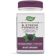 Nature's Way B-Stress Formula - B003B3OUCW