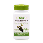 Nature's Way Bladderwrack