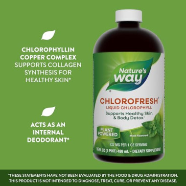 Nature's Way Chlorofresh Liquid Chlorophyll - B00028MW1A
