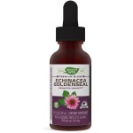 Nature's Way Echinacea Goldenseal Alcohol Free 99.9%