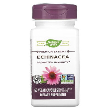 Nature's Way Echinacea Standardized - 