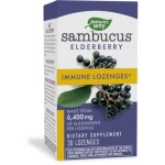 Nature's Way Original Sambucus Standardized Elderberry Lozenges