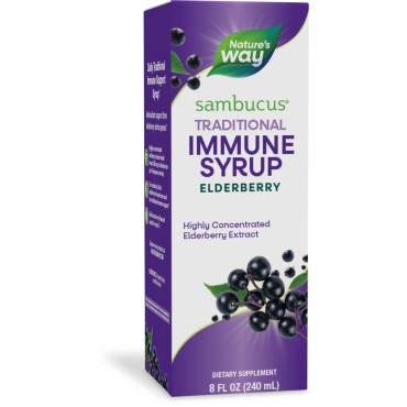 Nature's Way Original Standardized Elderberry Syrup - B001E8GO6G