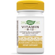 Nature's Way Vitamin B-12 Lozenges - B000Q40C6M