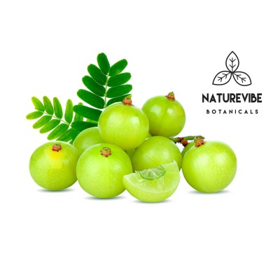Naturevibe Botanicals Organic Amla - B071Z6CHJQ