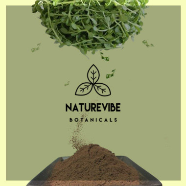 Naturevibe Botanicals Organic Bacopa - B07F9XY3NW