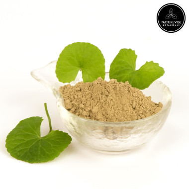 Naturevibe Botanicals Gotu Kola Gluten Free and Non-GMO - B07FB2VDLW