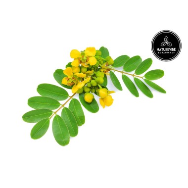 Naturevibe Botanicals Senna (Cassia angustifolia)  Supports Immune System - B071JNMN92