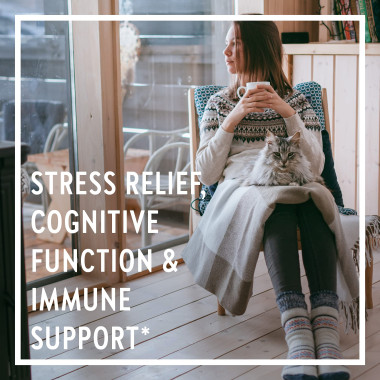 New Chapter Stress Relief Holy Basil (Tulsi) - B014REOZWI