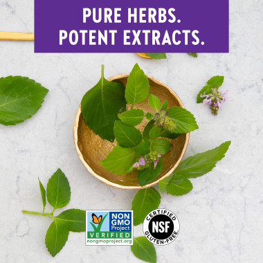 New Chapter Stress Relief Holy Basil (Tulsi) - B014REOZWI