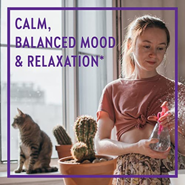 New Chapter Lemon Balm Mood Support - B01BHAG6YA