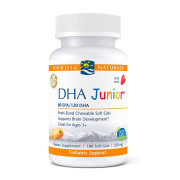 Nordic Naturals DHA Junior Strawberry 250 mg - B0009OUGBU