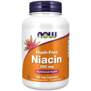 Now Foods Flush-Free Niacin - B0013OVZ6A Now Foods Flush-Free Niacin - B0013OVZ6A