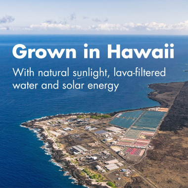 Nutrex Hawaii Pure Hawaiian Spirulina 100 Tablets - B0039ITKRY