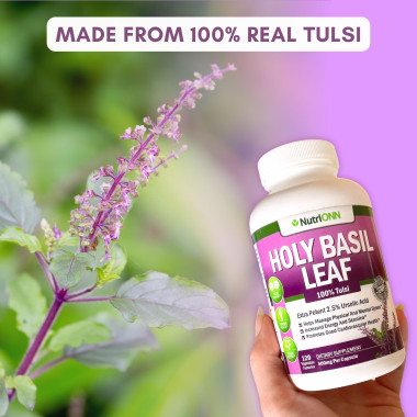 NutriONN Holy Basil (Tulsi) Leaf Extract - B07KFK4VR9