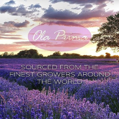 Ola Prima Premium Quality Lavender Essential Oil - B07H522Z21