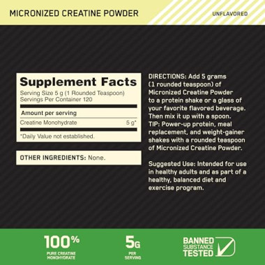 Optimum Nutrition Micronized Creatine Powder - B002DYIZEO