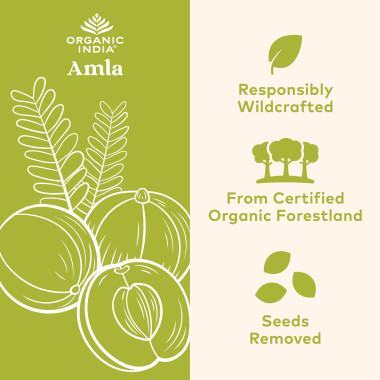 Organic India Amla Rejuvenating Superfruit - B003XNCHD4
