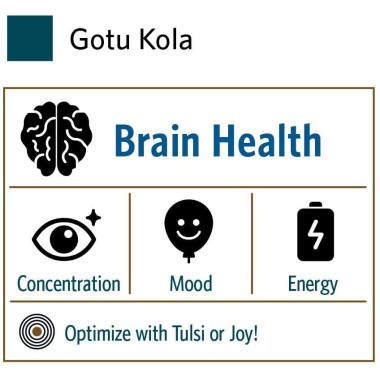 Organic India Gotu Kola Brain & Nervous System Support - B003PG6OMO