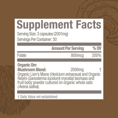 Organic Mushroom Nutrition Brain Fuel Powered by Lion's Mane + Folate - B07L3LR8M6