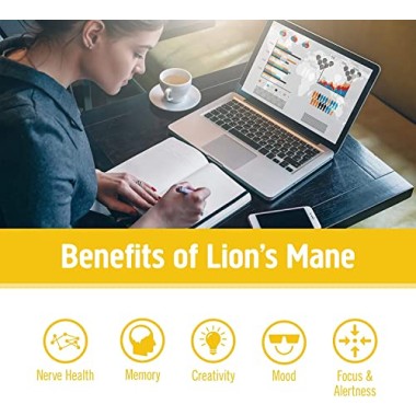 Organic Mushroom Nutrition Lions's Mane - B07NRFNR16