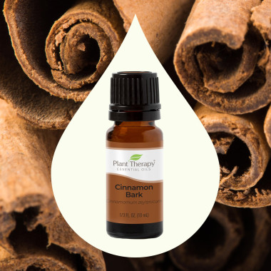 Plant Therapy Cinnamon Oil 100% Pure Essential Oil - B00UICKAUA