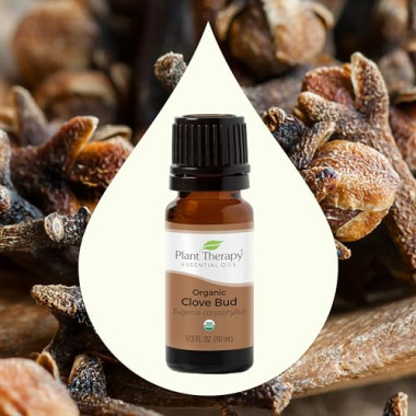 Plant Therapy Clove Oil - B007P70U10