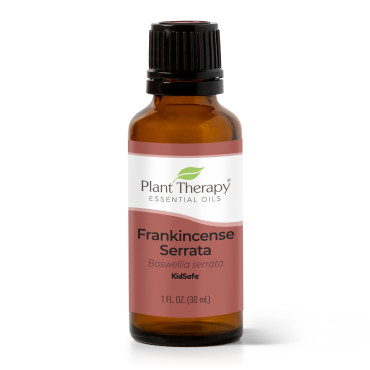 Plant Therapy Frankincense Serrata Essential Oil 100% Pure - B0069SQEDE
