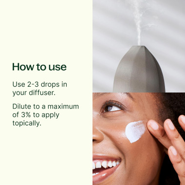 Plant Therapy Frankincense Serrata Essential Oil 100% Pure - B0069SQEDE