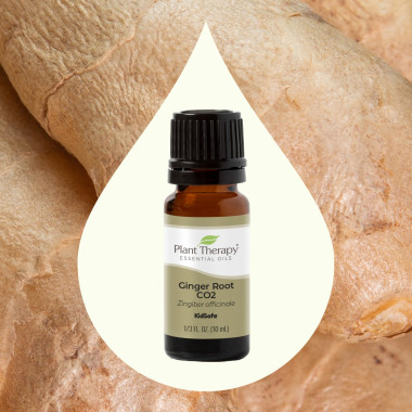 Plant Therapy Ginger Oil - B005XQWVI0