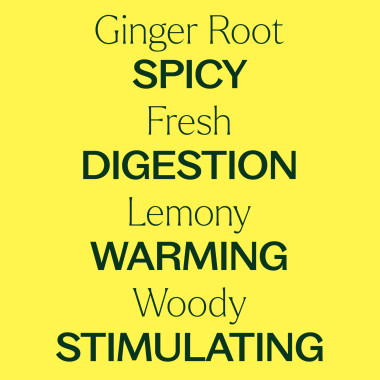 Plant Therapy Ginger Oil - B005XQWVI0