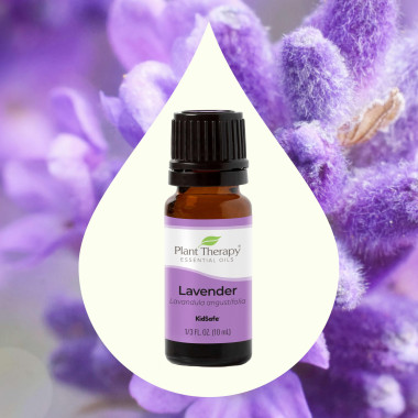 Plant Therapy Lavender Essential Oil - B005V22SEI