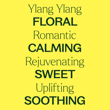 Plant Therapy Ylang Ylang Complete Essential Oil 100% Pure - B005V2UK2A